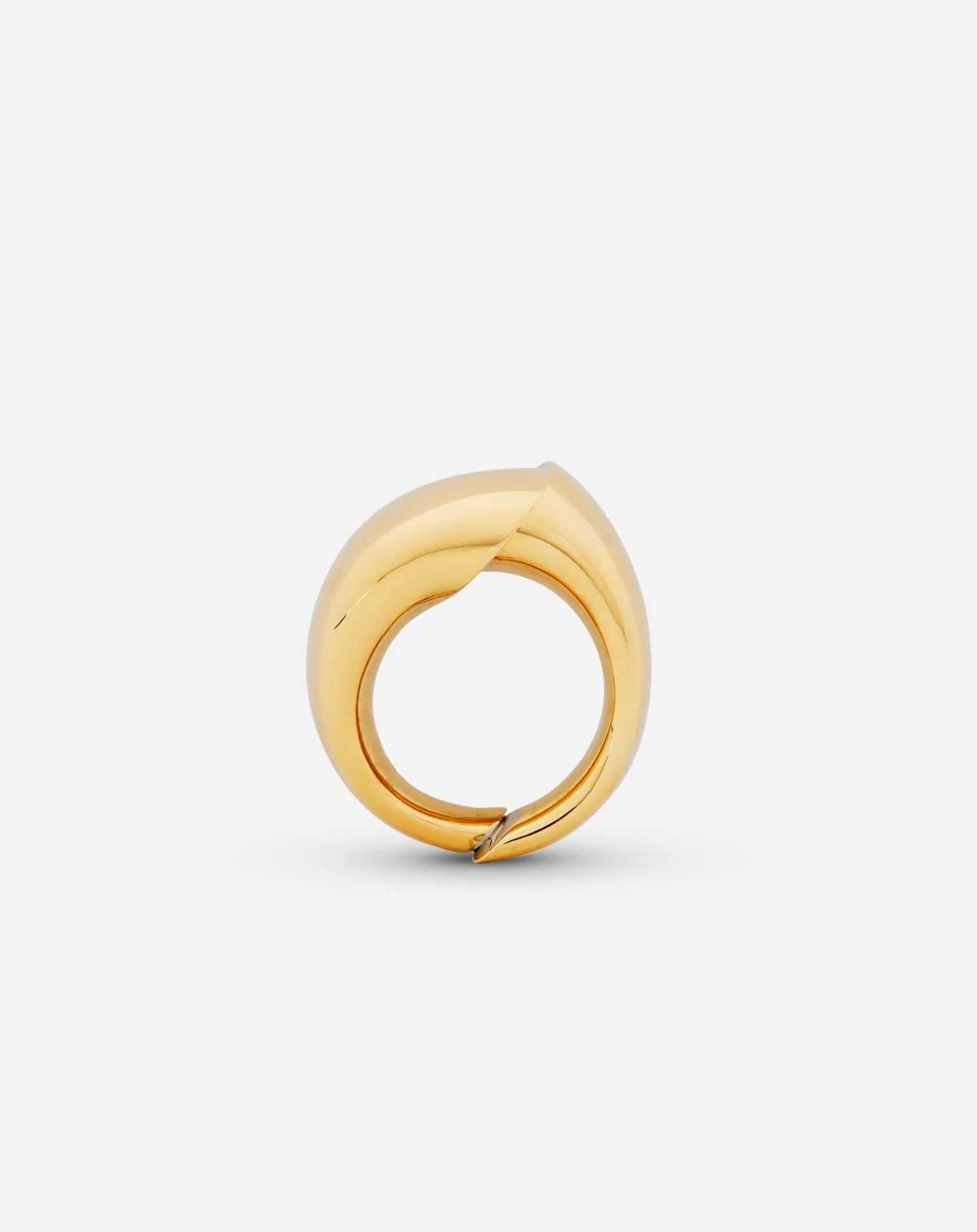 Lanvin Sequence by ring Gold/silver Store